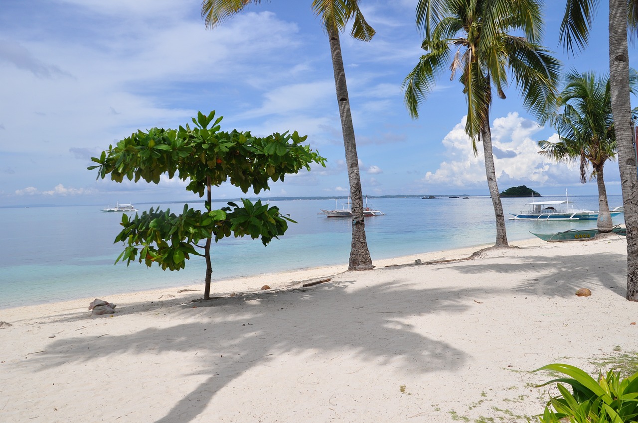 Playa y propiedades de alquiler